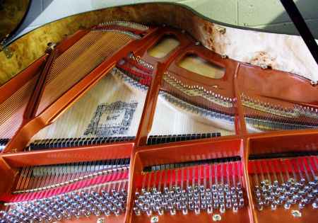 Feurich  161 model 1 - dealers in Steinway grand pianos baby grand pianos, Fazioli, Bosendorfer, Bechstein, Bluthner, Yamaha